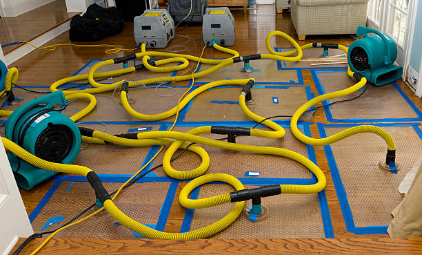 Professional Storm Water Damage Restoration technician working in Sound Beach, NY